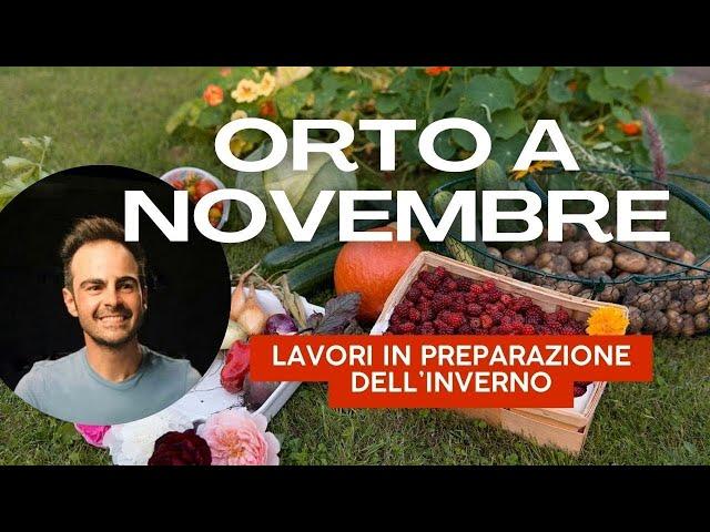 L'orto non va in letargo: scopri cosa fare in Novembre