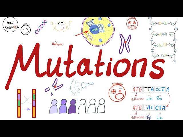 Types of Mutations | Changes in the Gene Pool | Genetic Drift | Biology 