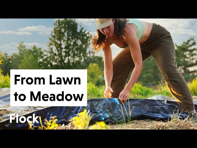 Invasive Grass to DIVERSE MEADOW — Ep. 273