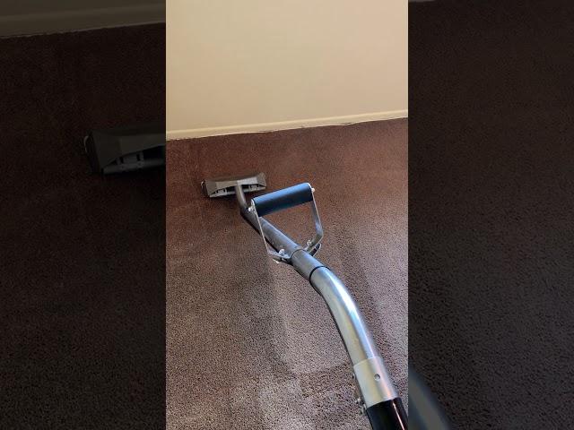 Carpet Cleaning of a super dirty carpet