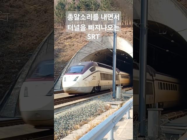 터널을 빠져나오면서 총알소리를 내는 SRT #기차여행 #train #railway