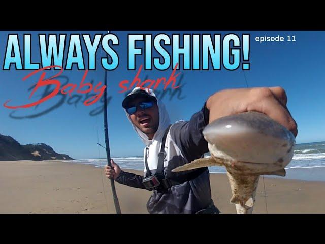 Always Fishing! 11 Baby shark