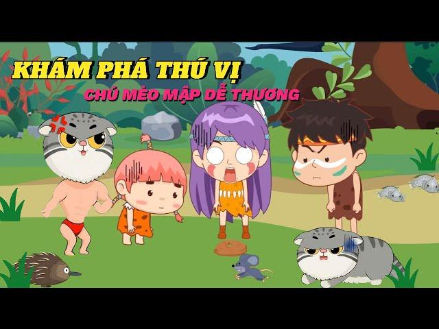 Chú Mèo mập dễ thương  và những câu chuyện thú vị | #hoathinhvuinhon #manul #kienthuc #kienthuc