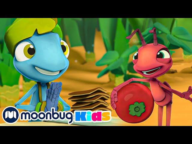 ​@AntiksOfficial - La Diseuse de bonne aventure  | Moonbug Kids - Dessin Animé En Francais