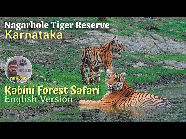 Kabini Forest Safari | Nagarhole Tiger Reserve in India | Karnataka Wildlife English Version.