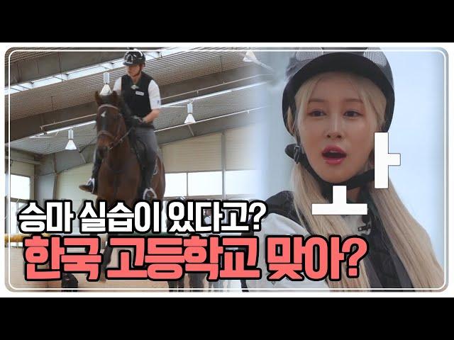 승마 실습이 있는 학교가 있다?! 부자들만 다니는 학교인가? [스카우트 4.0 얼리어잡터] KBS 230611 방송