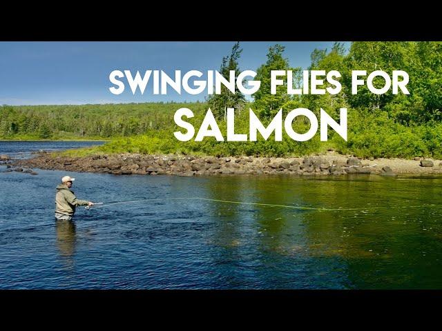 Swinging Flies for Salmon