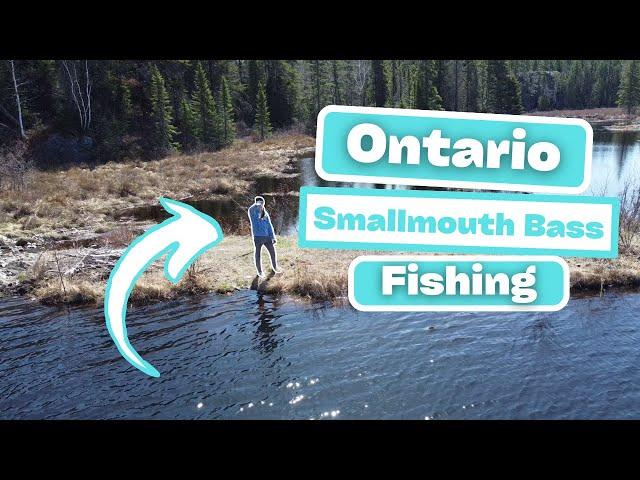 Ontario Bass Fishing!! (Shore Bass Fishing) Spring 2023!!