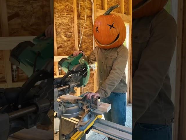 Happy Halloween everyone #shorts #halloween #jackolantern #pumpkin