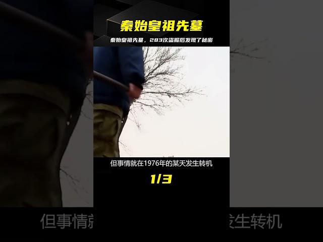 秦始皇祖先墓慘遭283次盜掘，專家花十年才挖到主墓室，186人陪葬 #古董 #開棺 #古墓 #考古發現 #考古