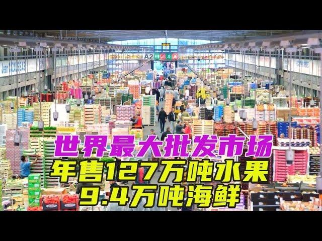 世界最大批发市场，17万人在此工作，年营业额高达100亿欧元