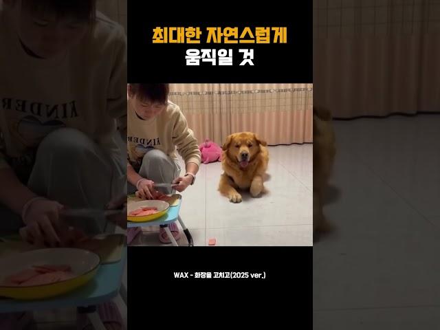 최대한 자연스럽게 움직일 것