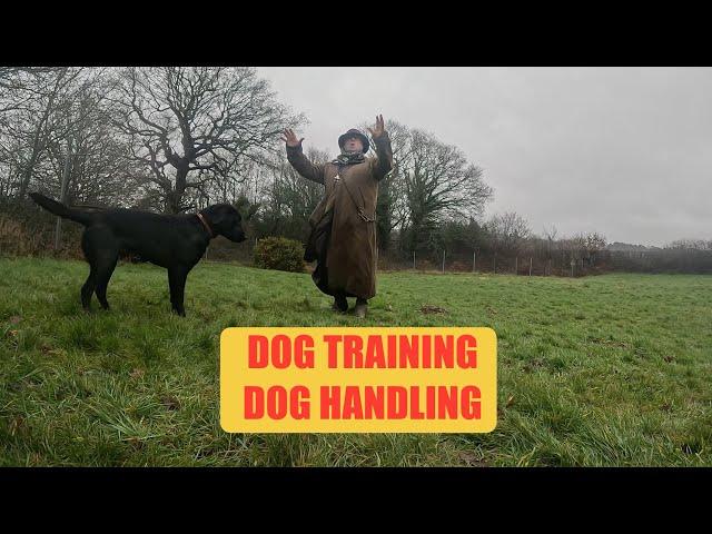 Dog Training and Dog Handling.