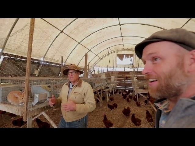 Joel Salatin's chickens and rabbits at Polyface Farm