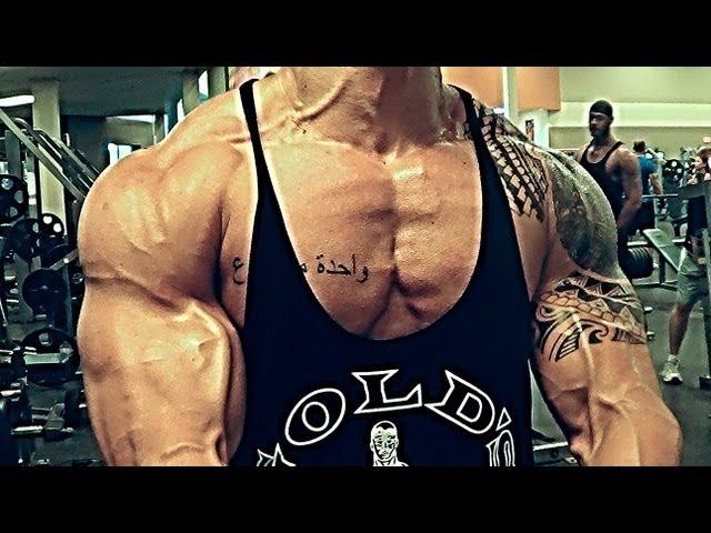 Rutina Pecho, Biceps y Abs por  Alan Valdez  - Fitness Latino