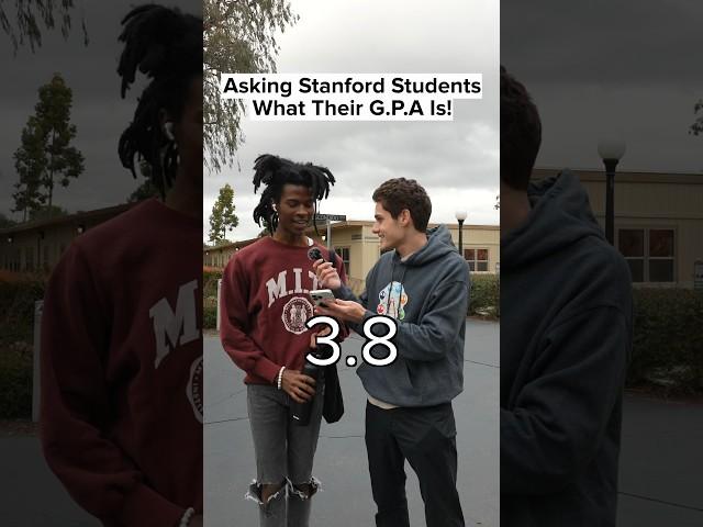 What’s The Highest GPA at Stanford University?? #Publicinterview #College #Students #Viral #Shorts