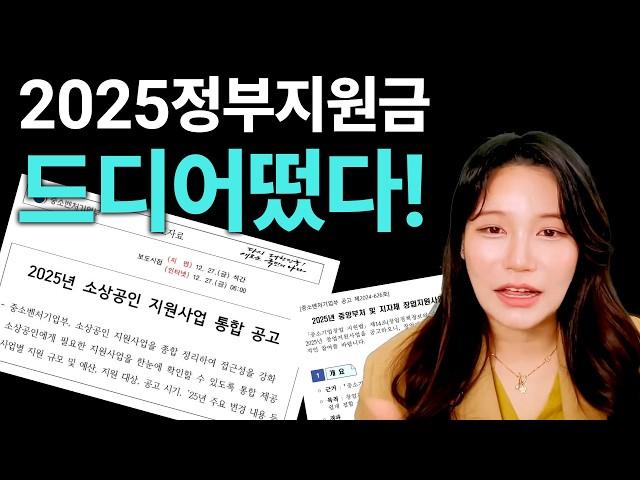 드디어 발표2025년 정부지원 예산 살펴보기 & 지원금 받는 노하우 정리