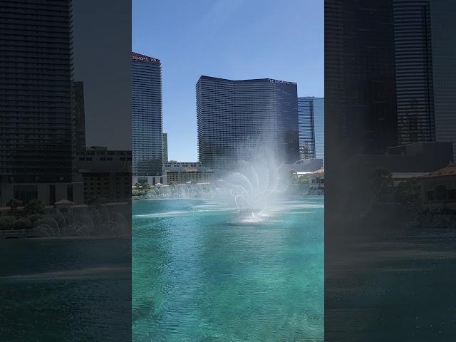 The Bellagio Fountains show at the Bellagio hotel and Casino Las Vegas