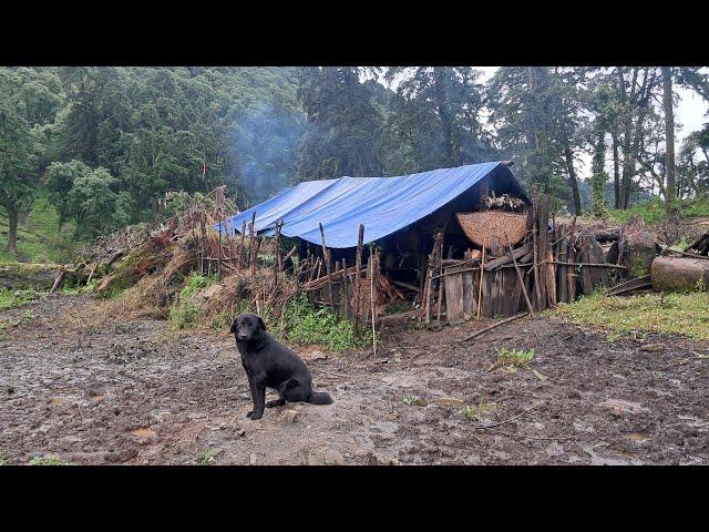 Nepali Mountain village Life in Nepal | very peaceful And Relaxing Rainy Season |Nepali Village Life