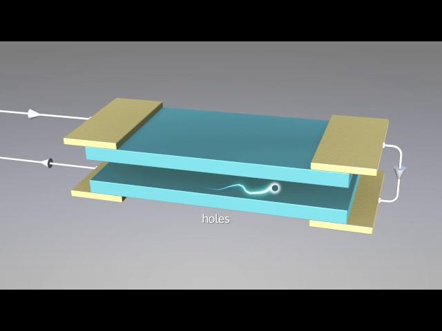 FLEET Theme 2 Exciton superfluids