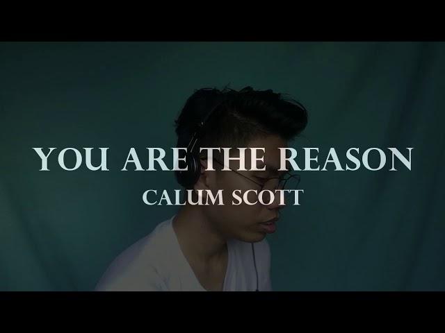 Calum Scott - You Are The Reason (Cover) | Zach Delos Reyes