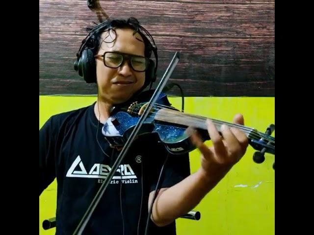 Joe Satriani - Revelation (Violin Cover)