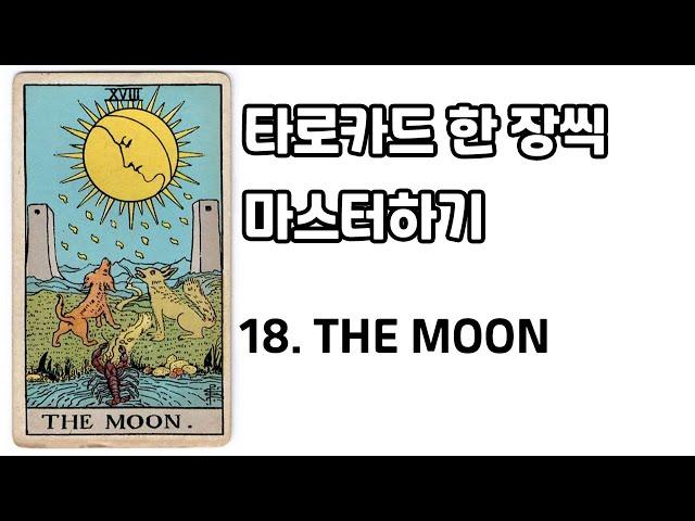 [타로강의] 18. THE MOON