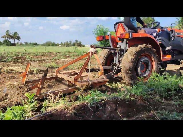 Kubota Tractor A211N 21 Hp Tractor At Guava Farm //Krushi Mitra Vishal//