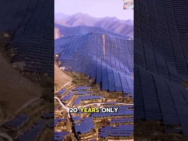 nature-enemy solar panels #facts #discover #solarsystem #solarpanel #nature #viralvideo