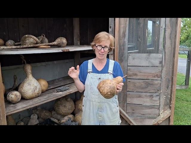 How To Dry A Gourd!