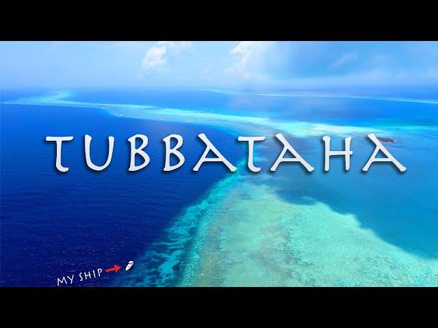 TUBBATAHA the Philippines Greatest Wild Life Sanctuary