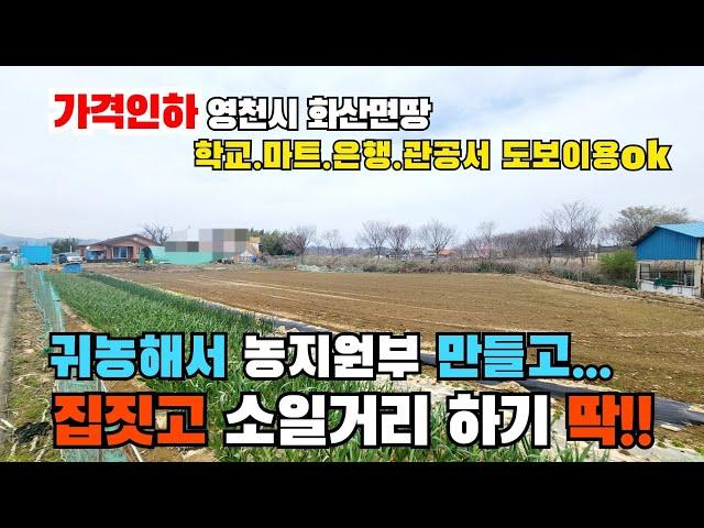 (S290)가격인하 영천시 화산면땅 귀농해서 농지원부 만들고 집짓고 소일거리하기 좋은땅 영천귀농지 영천전원주택지 영천땅 영천토지 영천부동산 1709㎡(517p) 3.3㎡당27만원