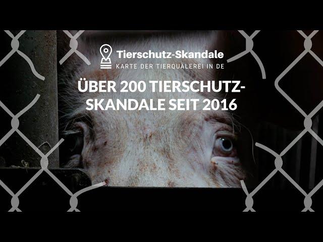 Tierschutzskandale: Über 200 Fälle veröffentlicht!