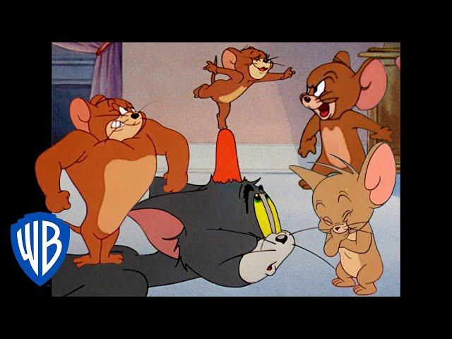 Tom & Jerry | Jerry in Full Force  | Classic Cartoon Compilation | @WB Kids