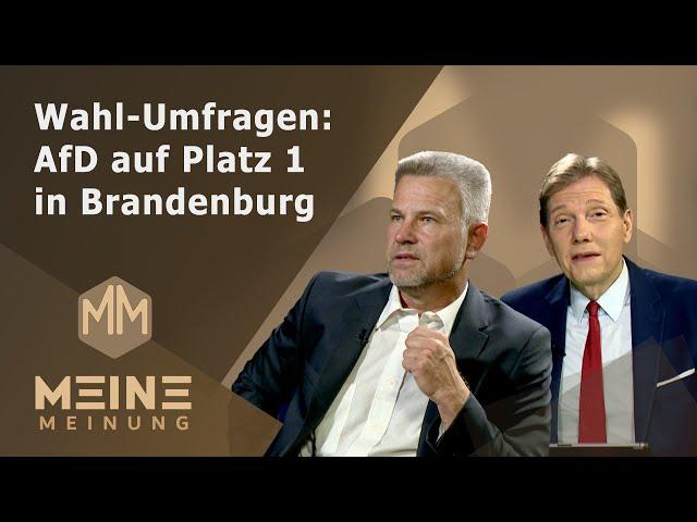 Meine Meinung - Wahl-Umfragen: AfD auf Platz 1 in Brandenburg