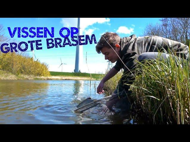 Vissen op Grote Brasem