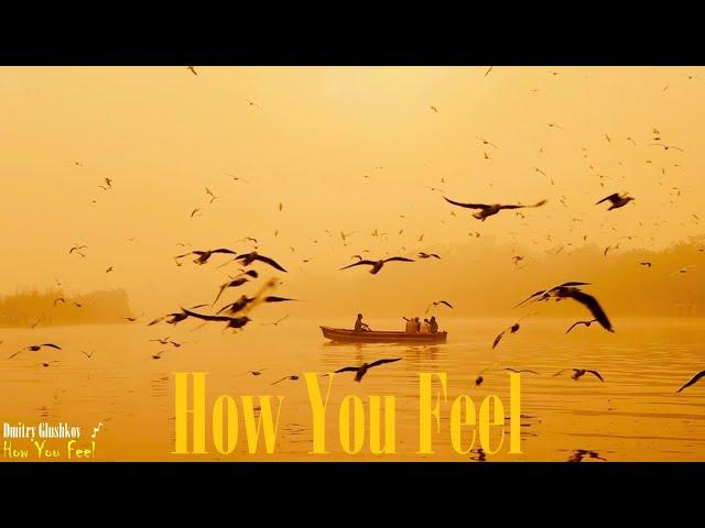 Dmitry Glushkov - How You Feel