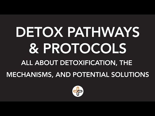 Everything You Need to Know About Detox Pathways & Protocols