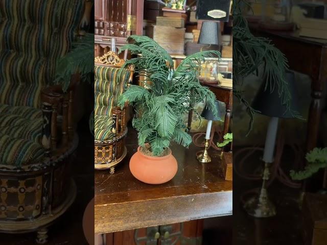 Houseplants in Miniature!