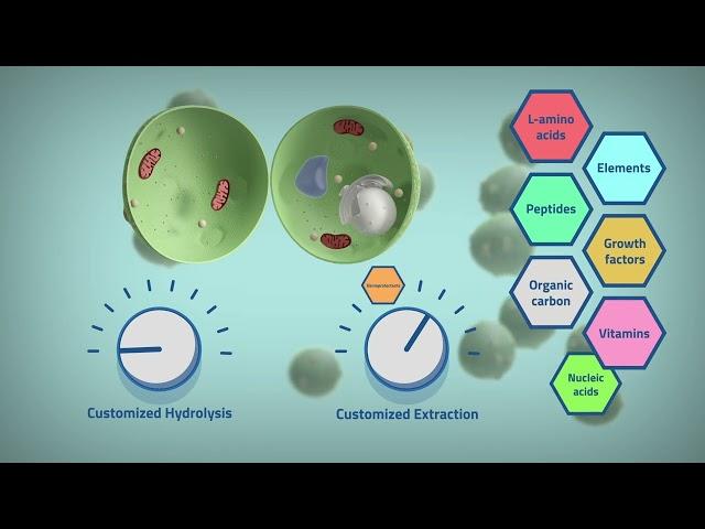 Science Animated 2D with 3D Showreel