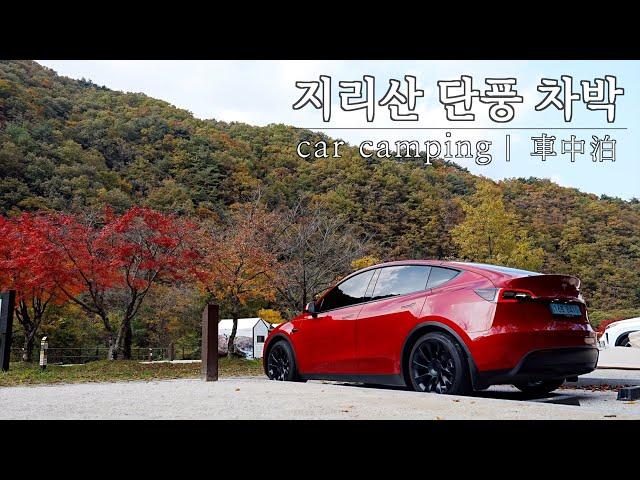 [Hamyang, South Korea Tesla Supercharger] Car camping with Tesla Model Y in Korea | ASMR