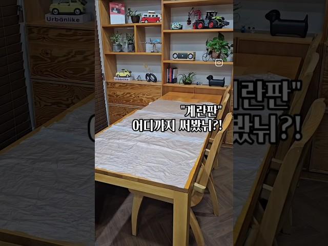 계란판의 다양한 활용씨앗파종#shorts#단독주택 #전원주택 #주택살이 #셀프정원 #파종 #계란판