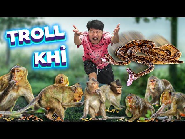 𝐓𝐨𝐧𝐲 | Challenge to Go to the Forest to Poke Monkeys  𝐌𝐨𝐧𝐤𝐞𝐲 𝐓𝐫𝐨𝐥𝐥