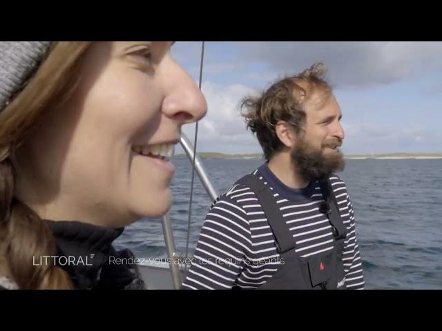 Littoral, rendez-vous avec les requins géants