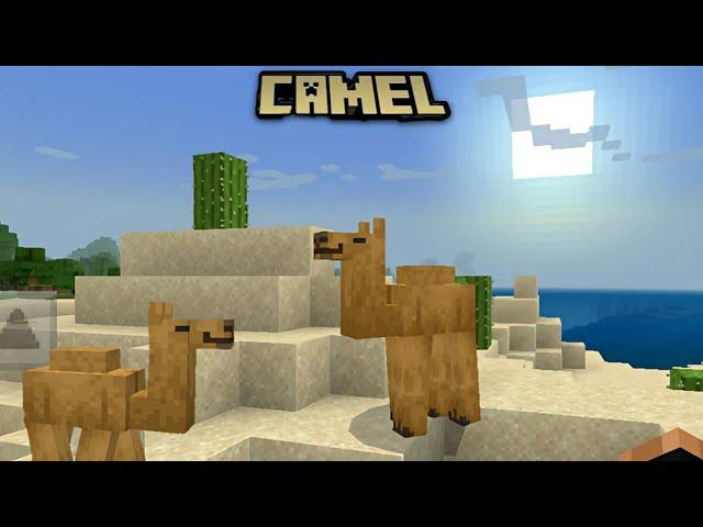 Camel  Update In Minecraft Version 1.20