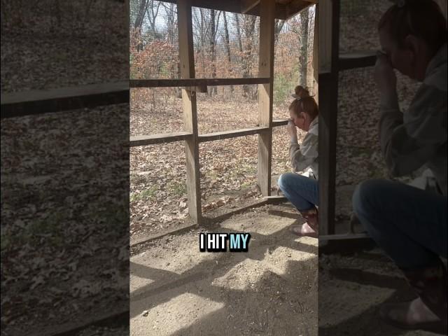 Renovating The Chicken Coop Day 2 #chicken #chickencoop #shortsvideo