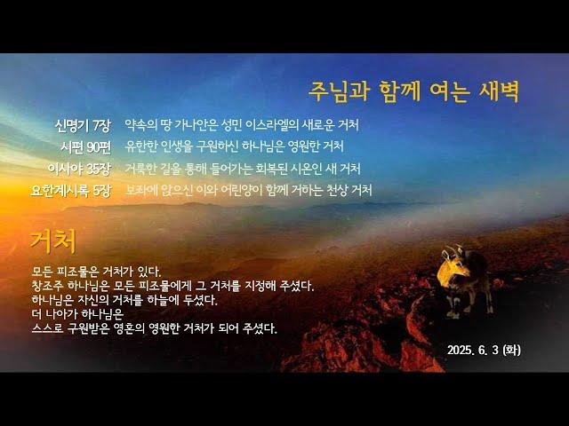 신부교회 - Bride Church 6월3일 주님과 함께 여는 새벽 / 장우영 목사