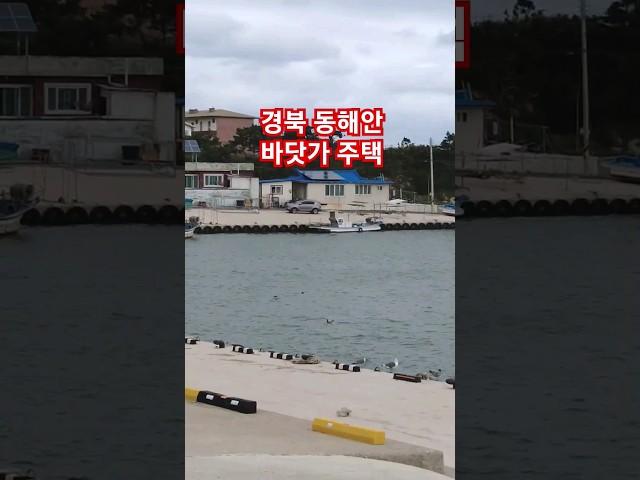 바다낚시 천국 경북 바닷가 주택 매물접수 포항부동산 자세한사항은 고정댓글클릭 #착한부동산tv