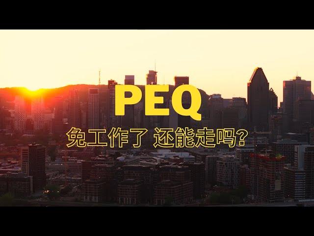 申请人8千骤降2千 移民局傻眼 PEQ只能再度改革 取消工作经验 而这些你得注意