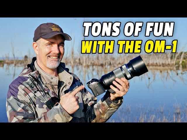 Olympus OM-1 For Wildlife Photography - Better Than Expected!